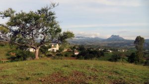 Ardua labor de las mujeres y hombres del campo en la mixteca oaxaqueña.