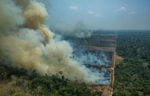 Bomberos Voluntarios de Argentina colaboran en los operativos de combate y control del fuego que se registra en la región brasileña del Amazonas