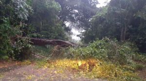 CEPCO mantiene un operativo por los efectos de las lluvias que acompañan la tormenta tropical Narda