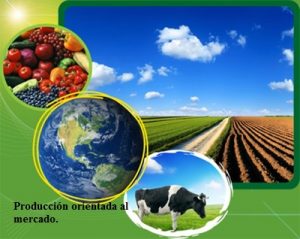 Soberanía alimentaria asociado a un proceso de industrialización alimentaría en manos de las grandes compañías alimenticias trasnacionales.