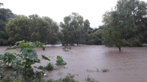 Por el desbordamiento del río Cazadero, más de una centena de familias de Santo Domingo Ingenio, Oaxaca, reportaron sus viviendas inundadas y la pérdida